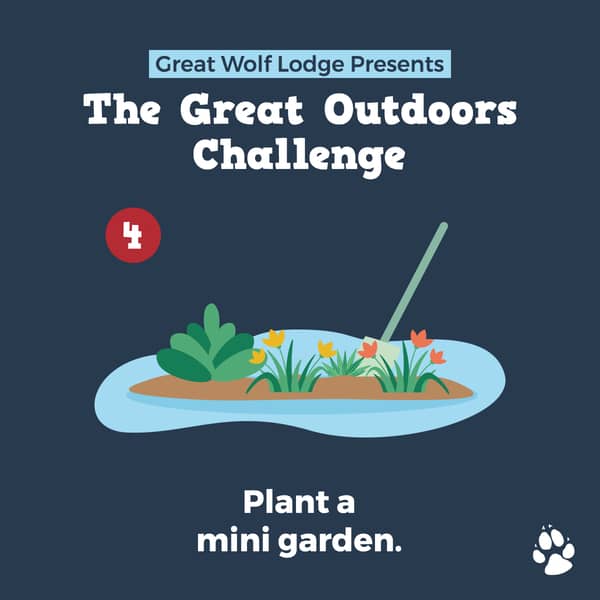 plant a garden - 10 Great Outdoor Challenges to Enjoy This Summer!