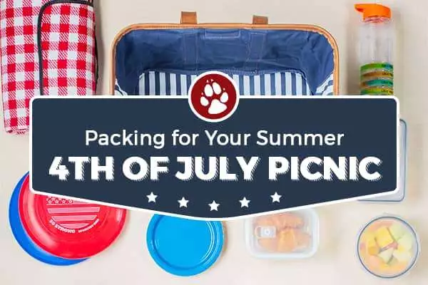 packing for your picnic feature - How to Pack the Perfect Picnic!