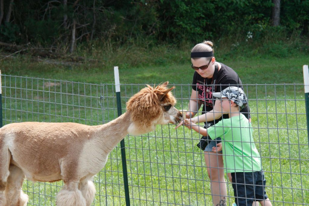 Country Bumpkin Farm - Petting Farm