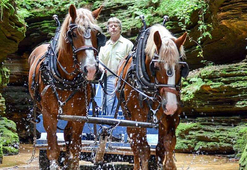 Lost Canyon Horse Tours with a unique views