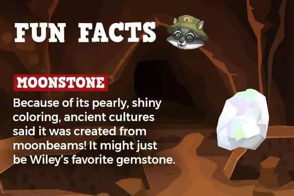 mining activities - Learn About Gemstones with Great Wolf Lodge!
