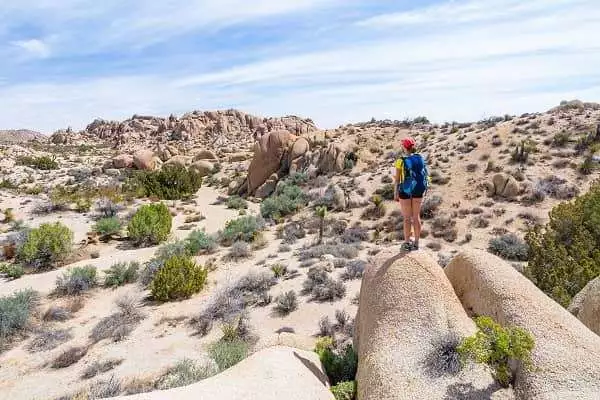 Joshua Tree National Park is a great option for your next spring break getaway