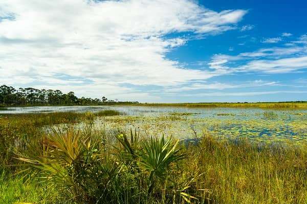 Port Saint Lucie is home to the famous Club Med