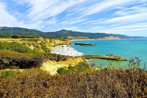 famous northern elephant seal at Ano Nuevo State Park