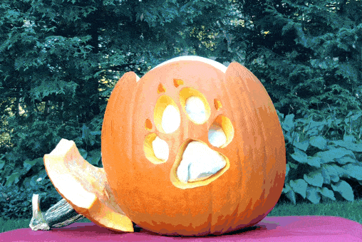 exploding pumpkin 600x400 1 - Celebrate Halloween With This Exploding Pumpkin Activity!