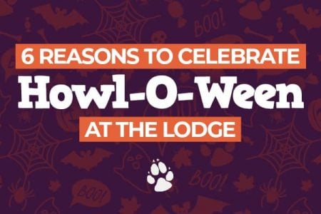 Halloween Activities at Great Wolf Lodge