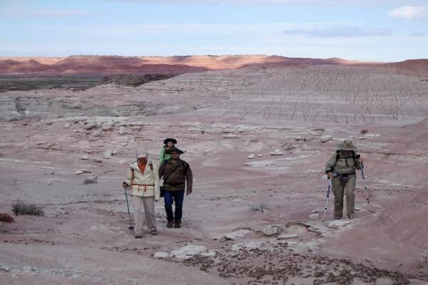 Petrified Forest National Park