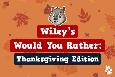 Thanksgiving Road Trip Game