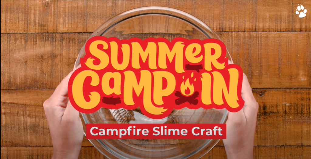 DIY Slime Summer Camp In