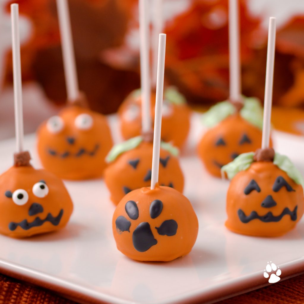 pumpkin cake pops