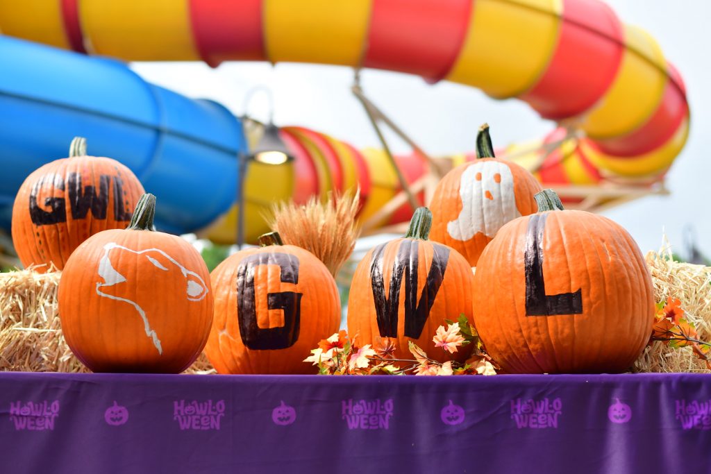 Great Wolf Lodge pumpkins