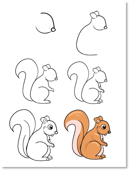 image - Easy Steps to Draw Sammy Squirrel!