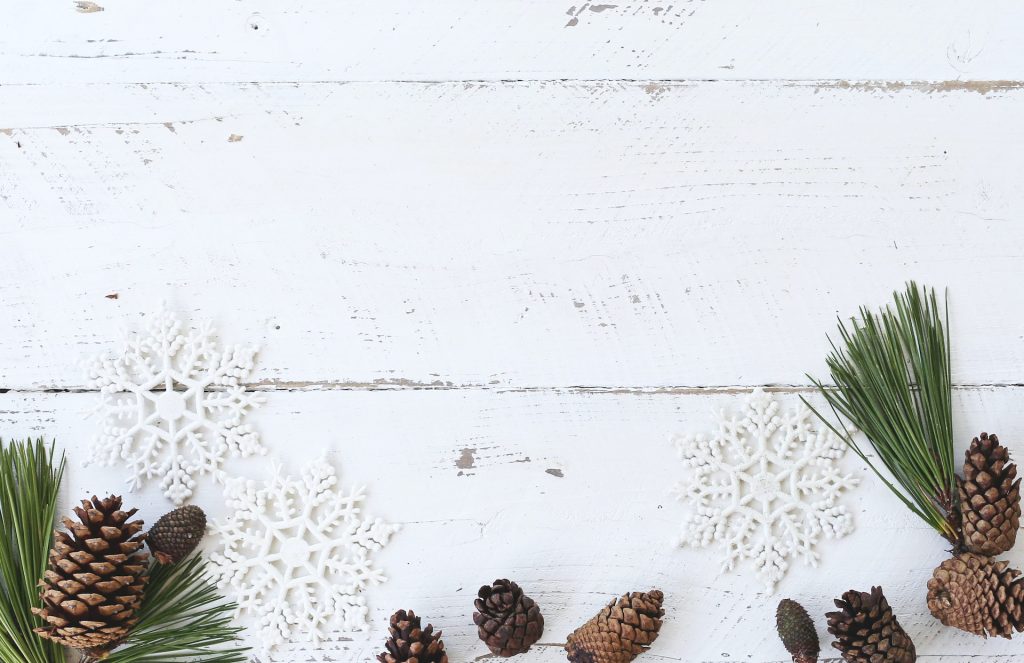 3-Minute DIY Snow Covered Pine Cones & Branches {3 Ways!} - A