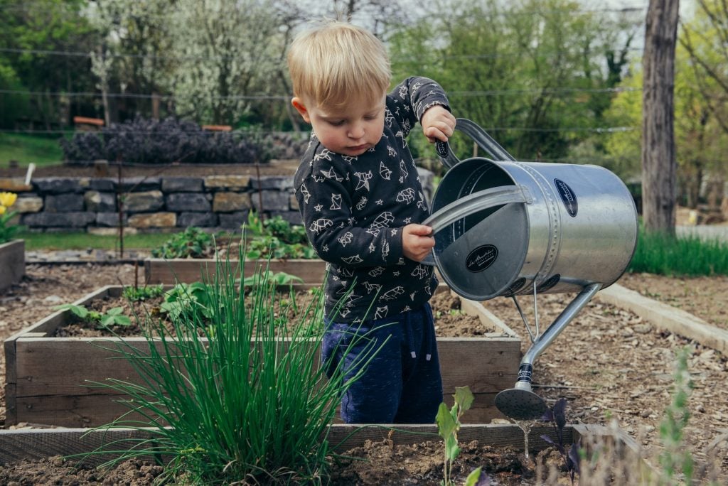 kid gardening