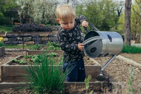 Earth Day Questions for Kids