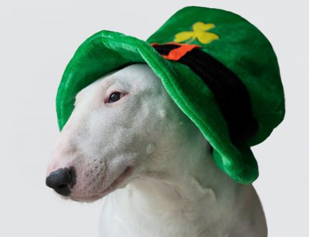 St. Patrick’s Day Fun Facts for Kids
