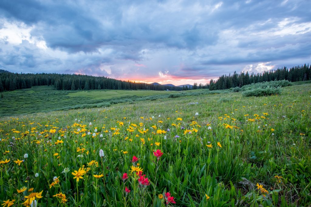 joel holland TRhGEGdw YY unsplash - Road Trip Tips for the Poconos