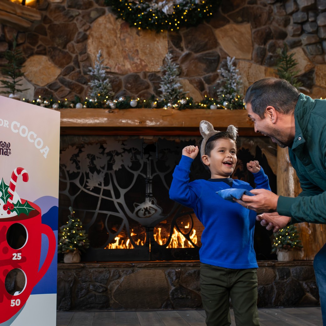 Father and son playing ring toss games