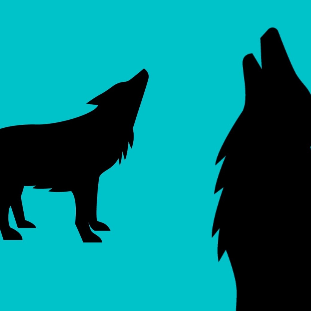 image of black wolfs on a blue background