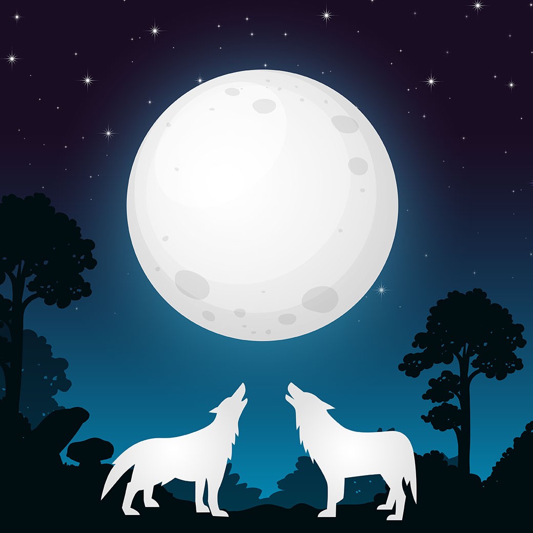 image of wolfs howling at the moon