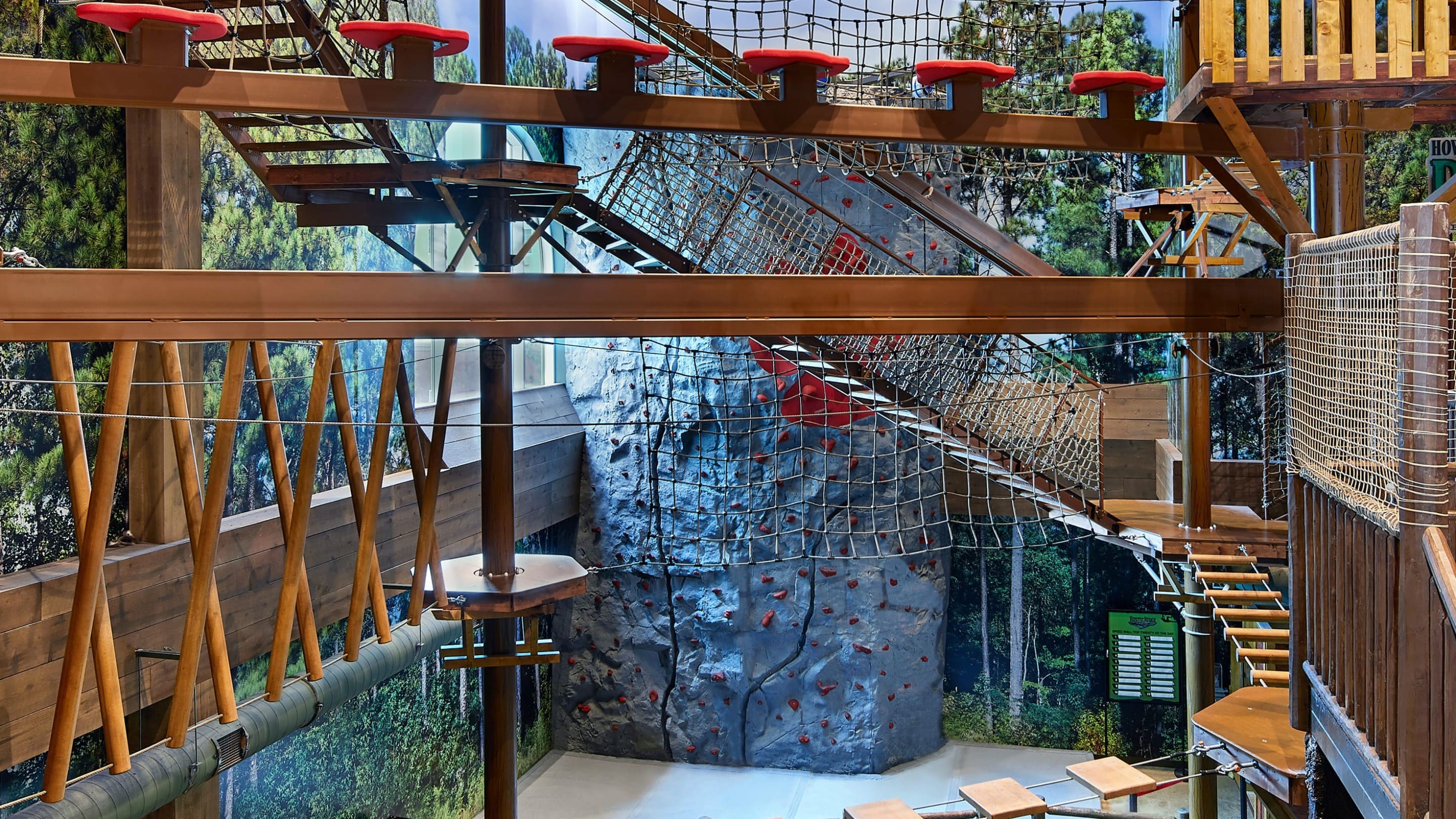 Overall view of the climbing wall in the park