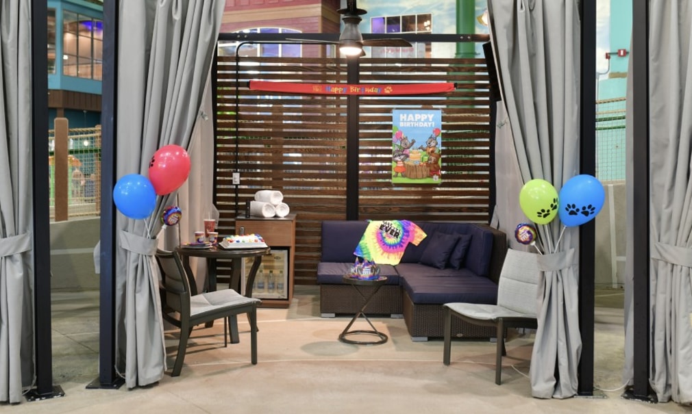 Happy Howls Birthday Decorations in Cabanas