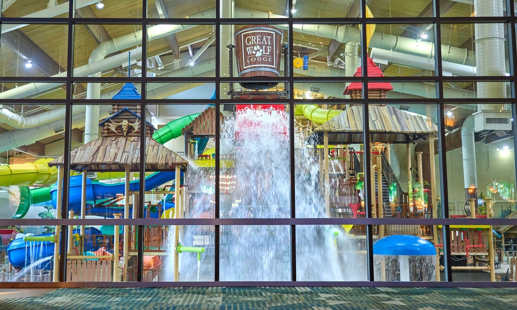 A wide shot of the water treehouse