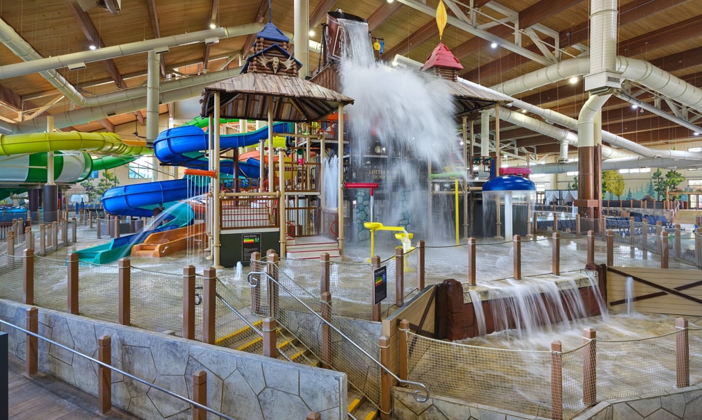 A wide shot of the water treehouse