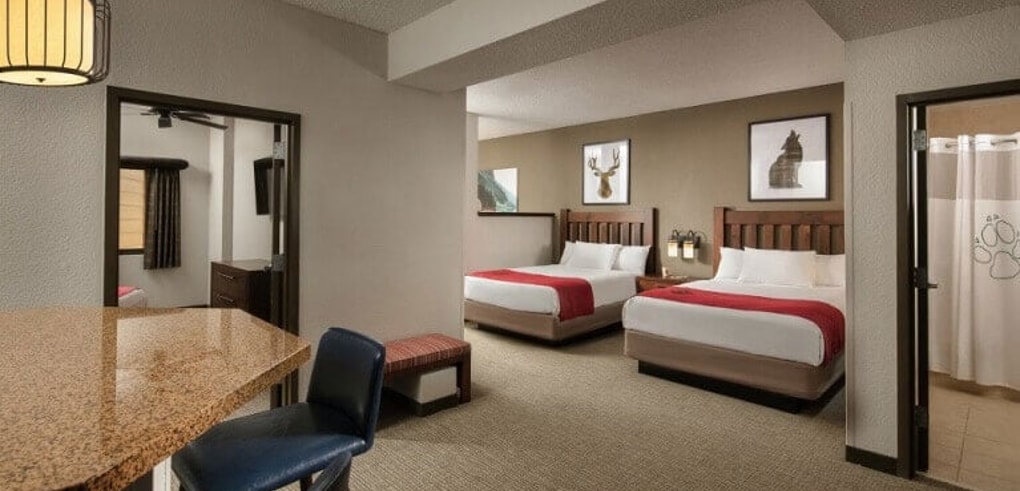 The Majestic Bear Suite