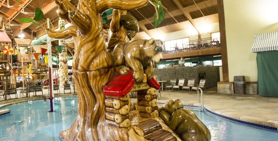 The indoor oak tree feature in a pool 