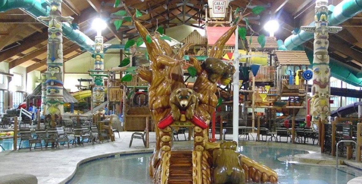 The indoor oak tree feature in a pool 