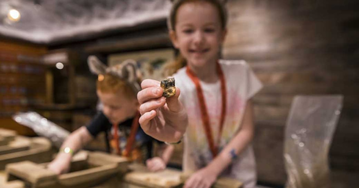 kids playing the mining game