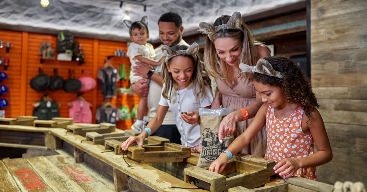 family looking for gems