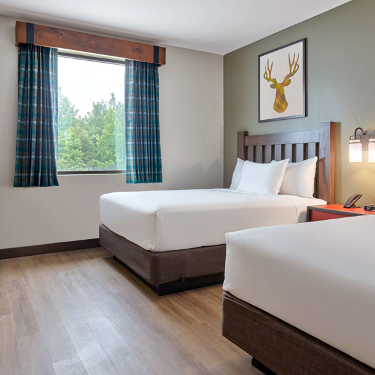 two queen beds