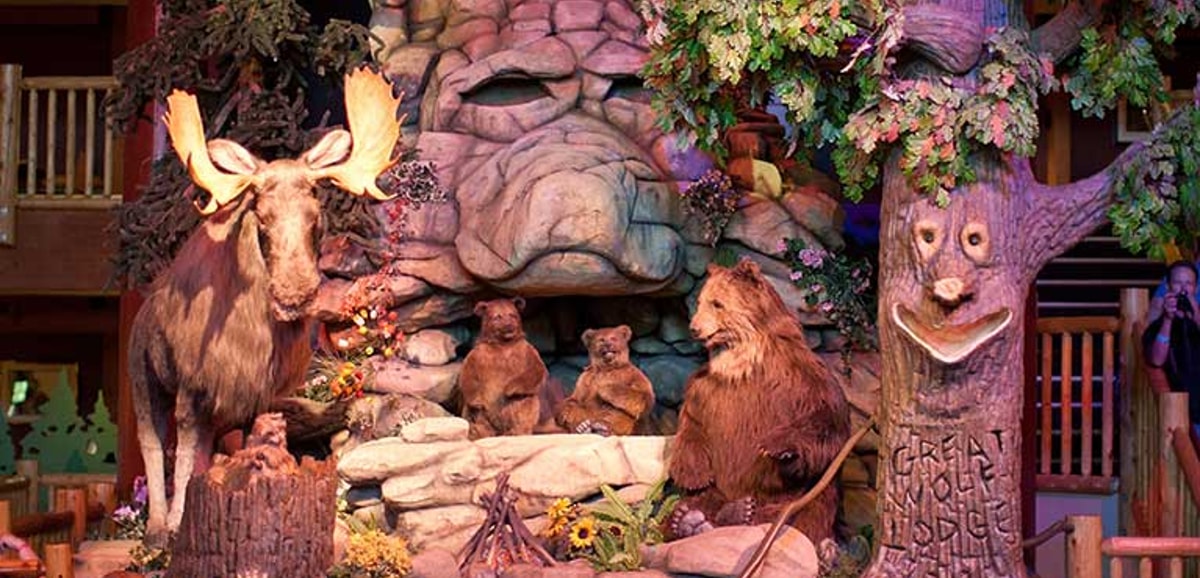 The area for The Forest Friends Show