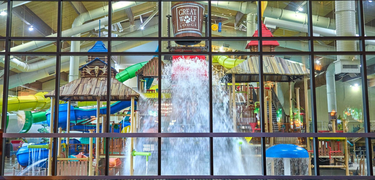 A wide shot of the water treehouse