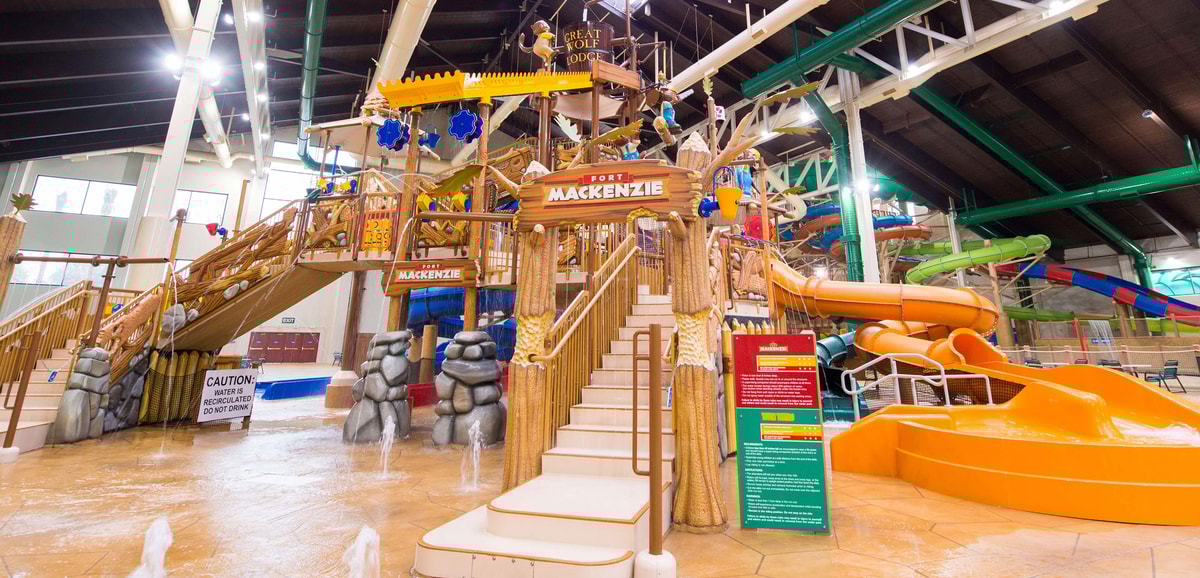 A wide shot of the water treehouse