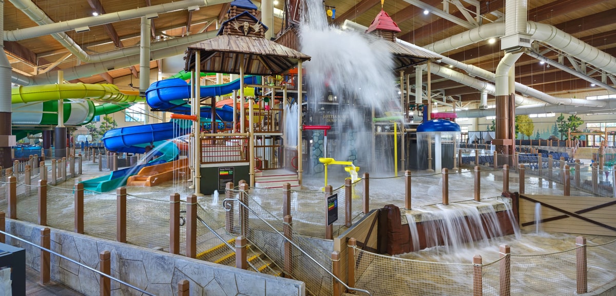 A wide shot of the water treehouse