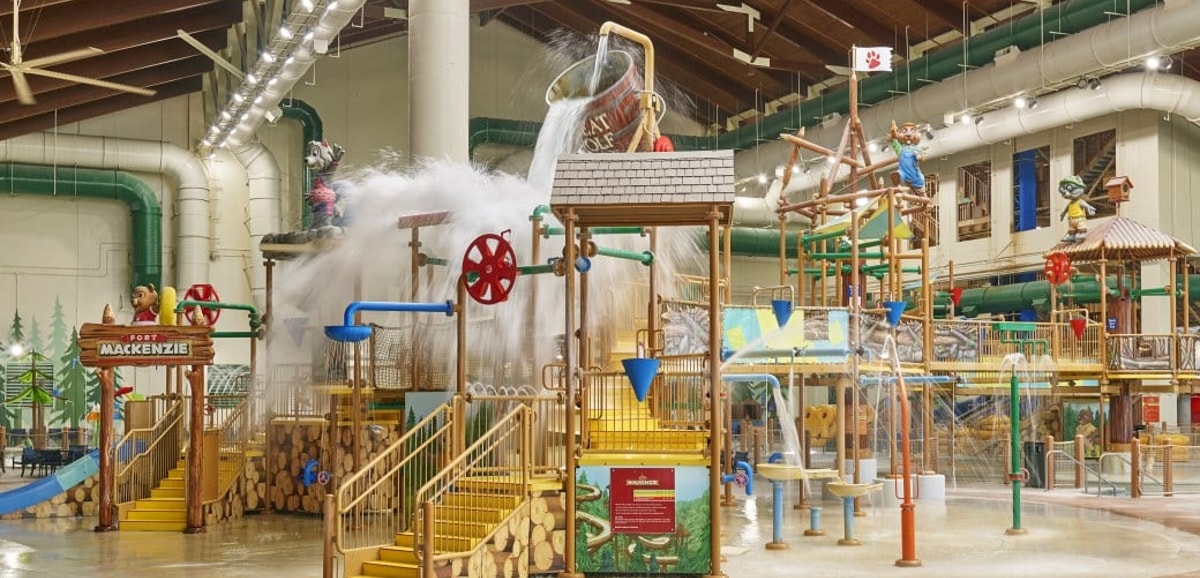 A wide shot of the water treehouse