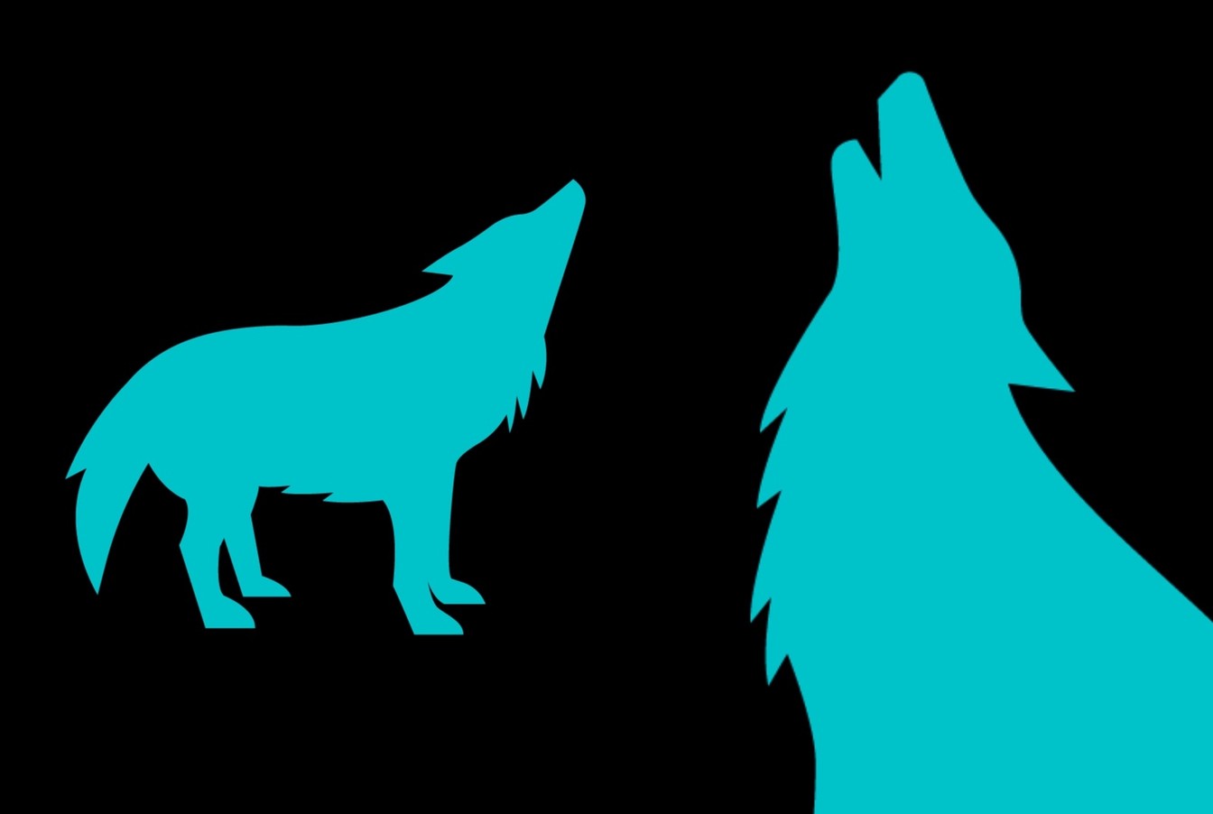 blue howling wolf on a black background