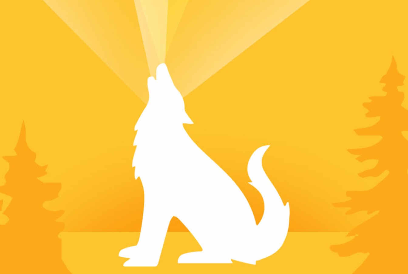 illustration of a white wolf on a yellow background