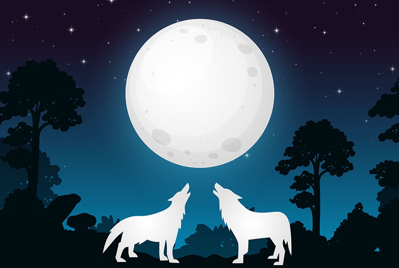 two wolves howling at the moon