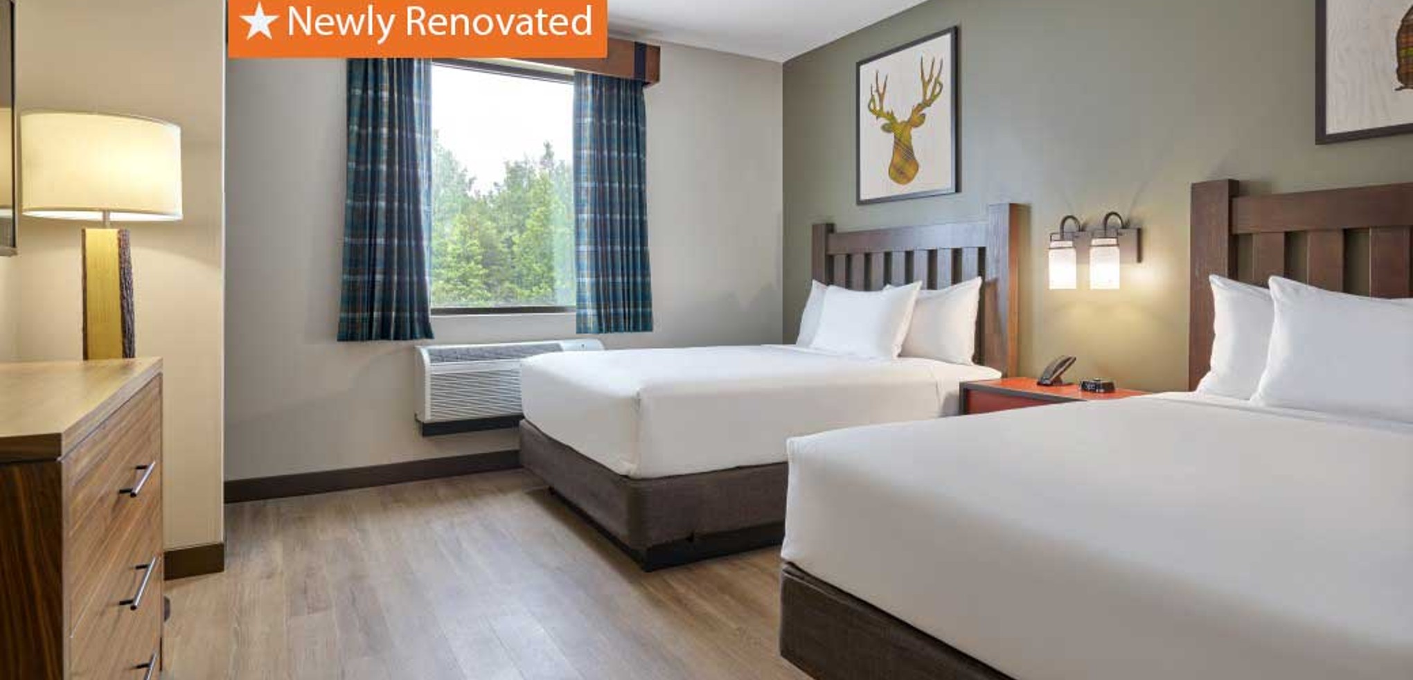 The Double Queen Suite