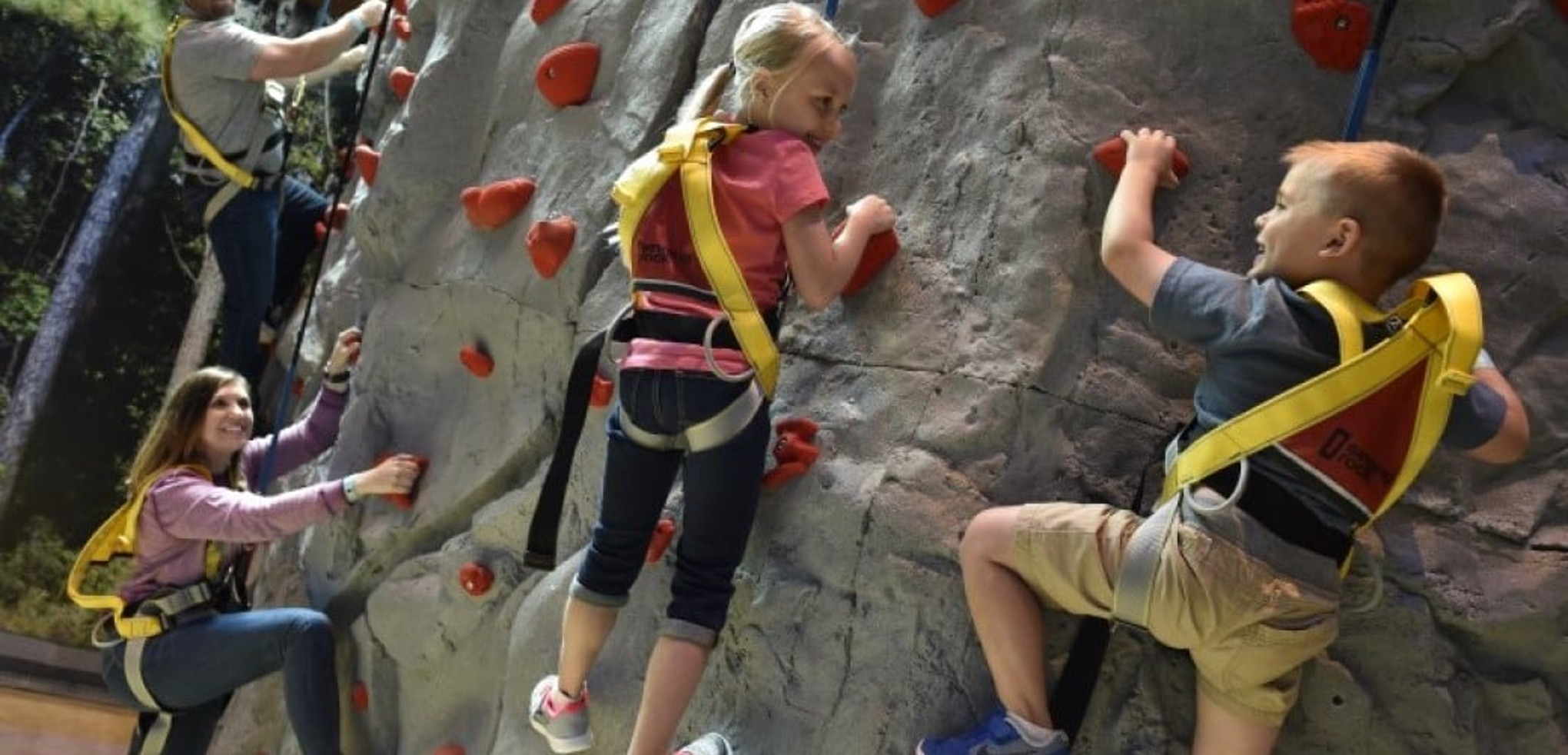 A family climbs a rock wall