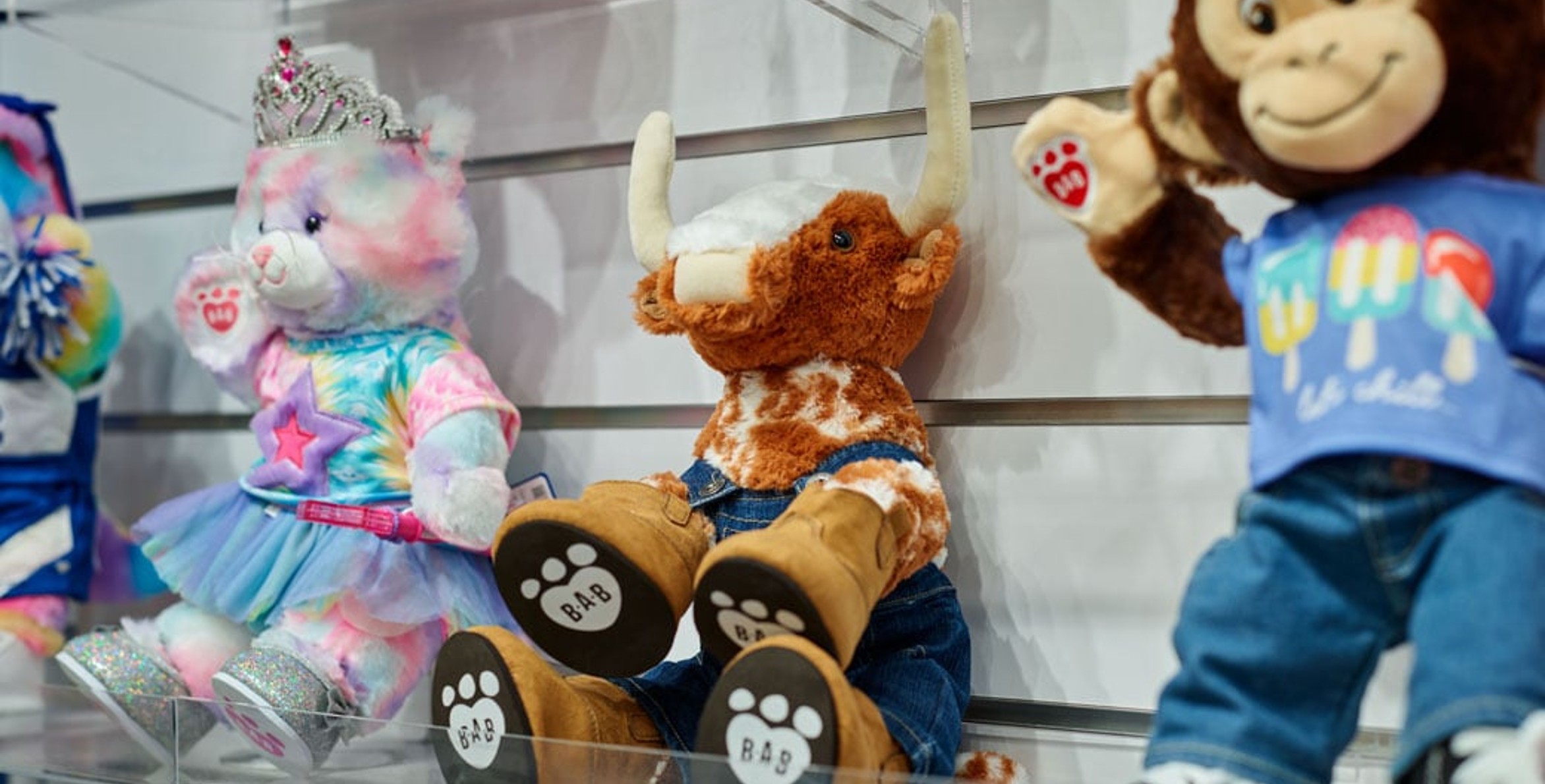 Texas Build a Bear