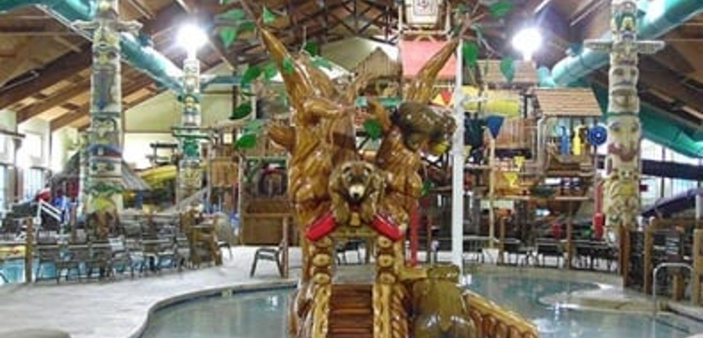The indoor oak tree in a pool at Great Wolf Lodge Sandusky indoor water park and resort.