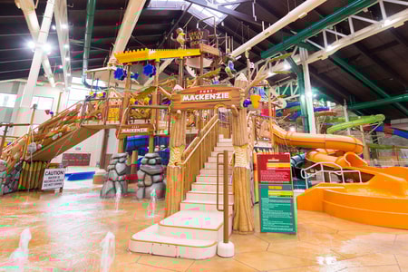 A wide shot of the water treehouse