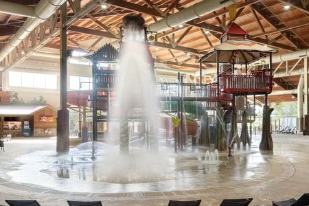 A wide shot of the water treehouse