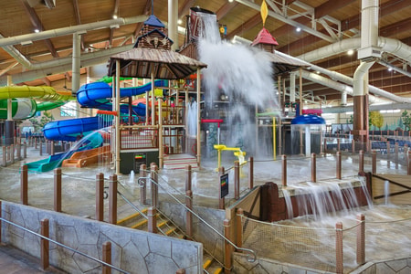 A wide shot of the water treehouse