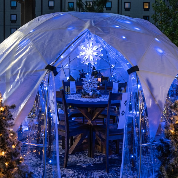 view from outside the snow globe